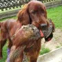 Vorbereitung zur Frühjahrsprüfung 2010