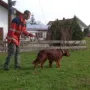 JA! Die ersten Vorstehanlagen...))