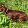 Nochmal ins Wasser?