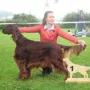 Herr Werner Best in Show an der CAC Kösching 2014