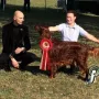 Herr Werner und BIS an der CAC Kösching 2015