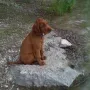 Humphrey ist ganz in der Nähe geblieben und zwar bei Anne in München.