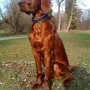 Humphrey im November 2009