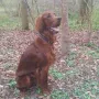 Humphrey im April 2010