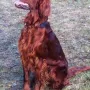 Humphrey ist jetzt 2 1/2 Jahre alt.