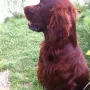 Wir freuen uns über ein Bild von Humphrey