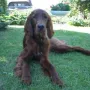 Nochmal im Sommer 2010