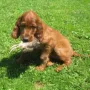 Hera macht sich schon.