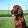 So jetzt bin ich schon 8 Monate und immer noch so schön!!