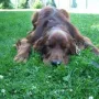 Down geht auch schon..))