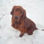 Ingo im Winter 2010