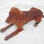 Ingo im Winter 2010