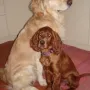 Ich stelle euch meine Freundin Judy vor.