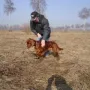 Ilka trainiert für die Frühjahrsprüfung.