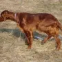 Unter Spannung...))