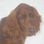 Iska im Februar 2010