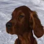 Iona´s Kopf ist einfach nur toll!
