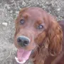 JOsy sieht so toll aus wie jeder J-ler..)