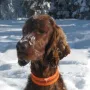 Jay im Januar 2012