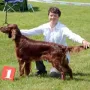 Jay gewinnt den Landessieger Bayern 2012