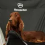 Jay als Merceds-Model an der CACIB Nürnberg 2013