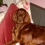 Juxerl wird schon eine kleine Dame!
