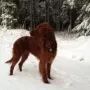 Juxerl im Winter 2012
