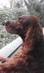 Janosch bald 8 Jahre