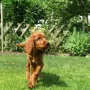Er hat auch schon einen super Speed drauf!