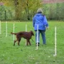 Janosch bei seiner 1. Prüfung.