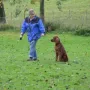 Einfach total stark von diesem kleinen Kerl!