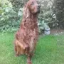 Janosch mit 7 Jahren