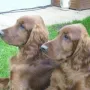 rechts Jean Pierre