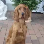 Auch aus mir wird ein strammer Junge!