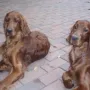 Jean Luc und Jean Pierre, die beiden Brüder in Mossrain.