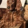Kara mit gut 7 Jahren