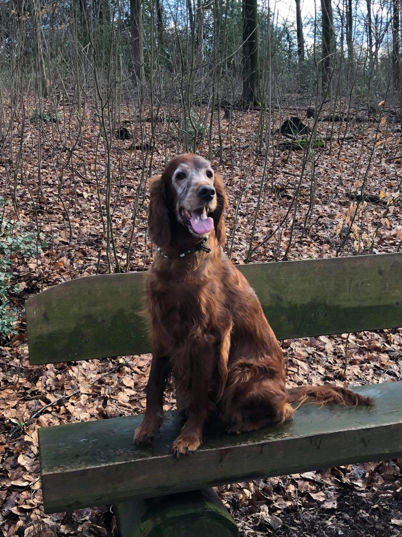 Kathy mit 8 Jahren wunderschön mit grauer Brille 