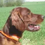 Kathy vor der Jugendsuche im April 2012
