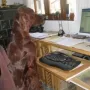 Kathy, meine Sekretärin.