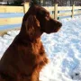 Kathy genießt die Sonnenstrahlen
