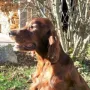 Kathy und der milde November 2015