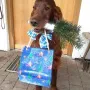 ALLEN die heute Geburtstag haben, herzlichen Glückwunsch!