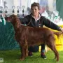Kathy an der CAC Forst 2016 in der Championklasse