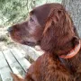 Kathy mit knapp 7 Jahren