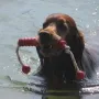 Kathy hat Spaß mit Wasserapport