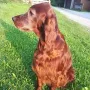 Kathy wird Mutter unseres W²-Wurfes