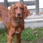 Und entwickelt sich zu einer kleinen "Puppe".