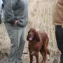 Komtess mit Tanja und Rolf.