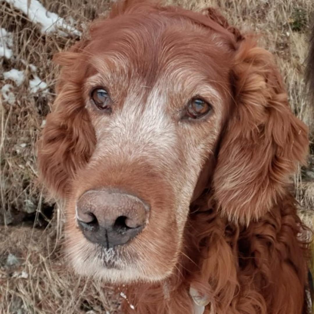Kamino bald 12 Jahre