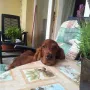 Kenzo wie Mama Winny